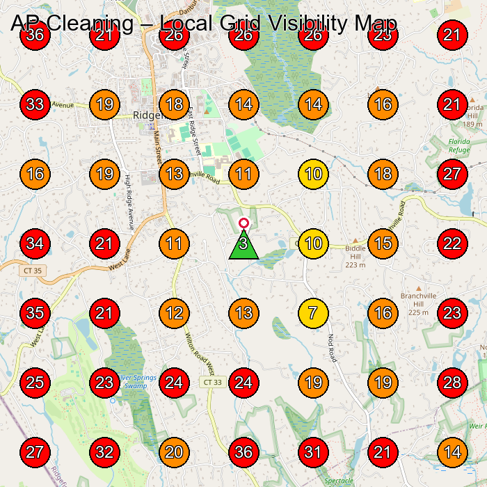AP Cleaning GeoGrid visibility map for Servicio De Limpieza Doma(C)Stica in Danbury